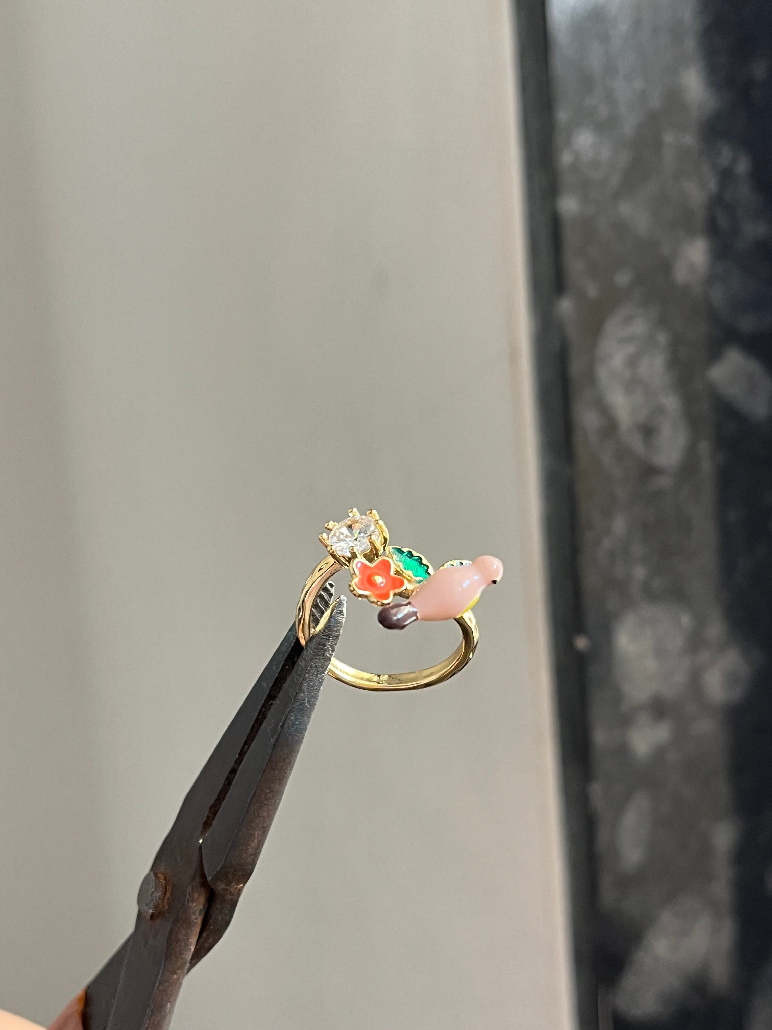 parrot ring