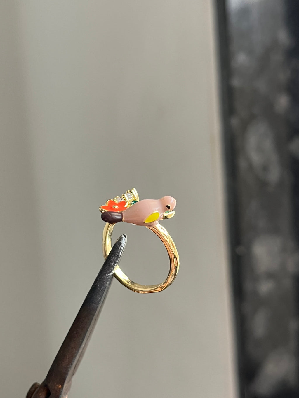 parrot ring