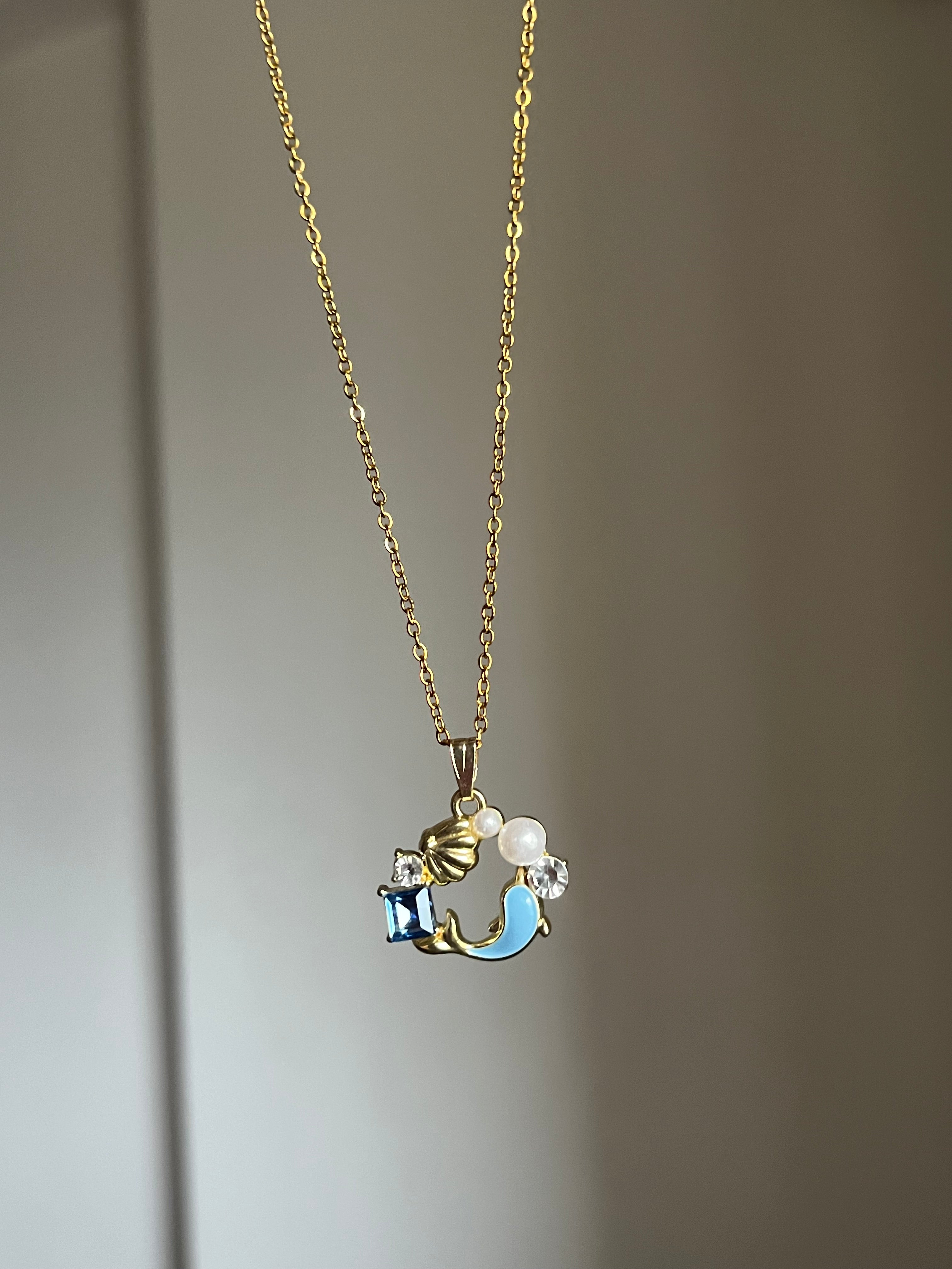 dolphin chain